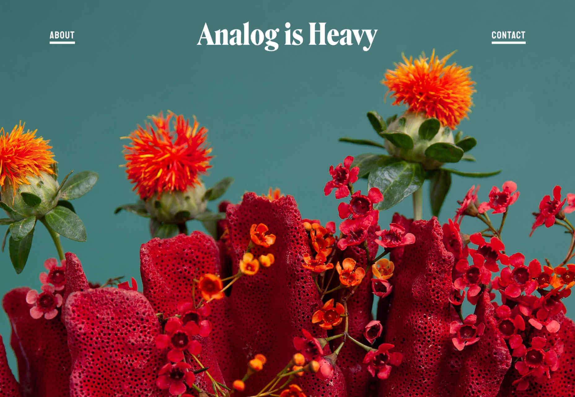 analognisheavy