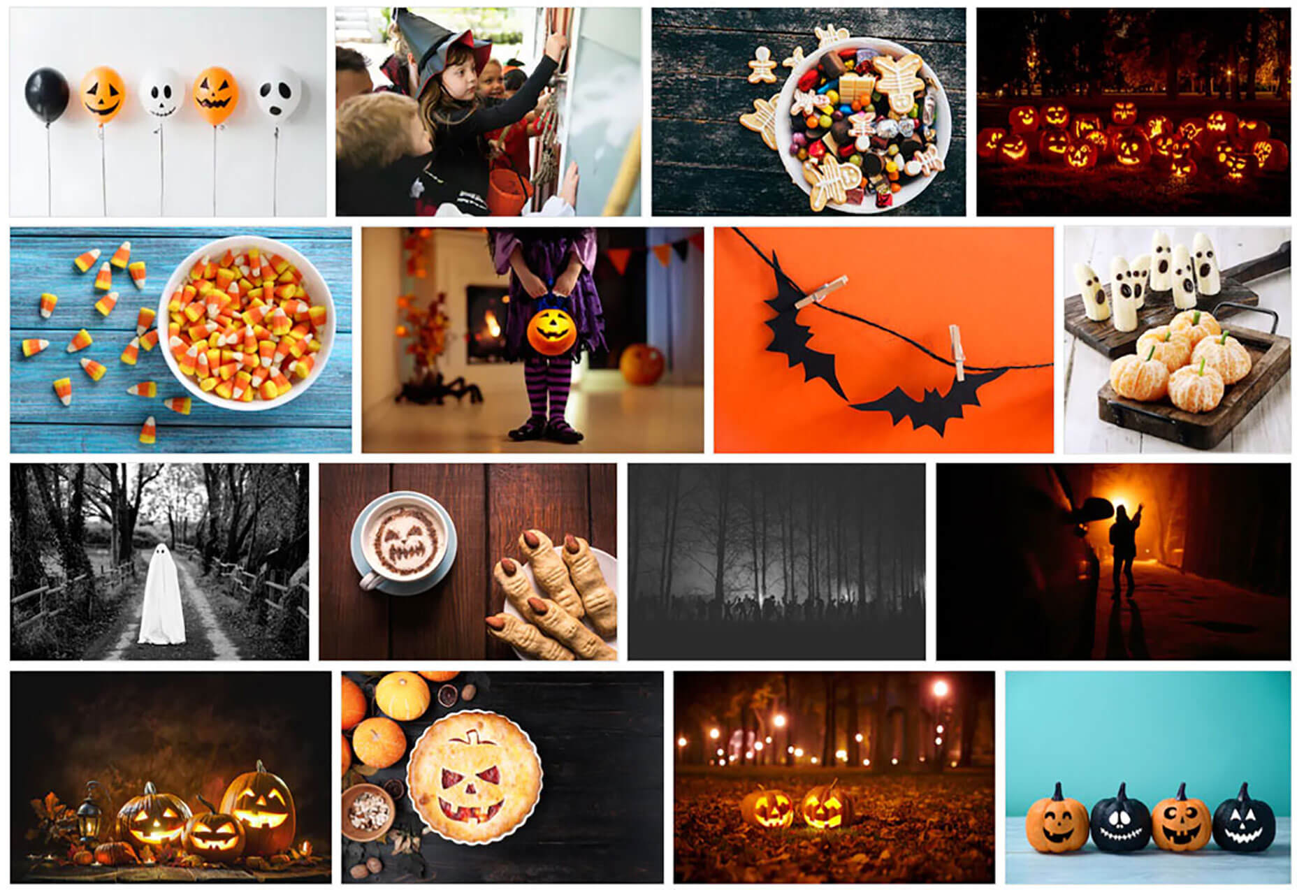 Curated-collection