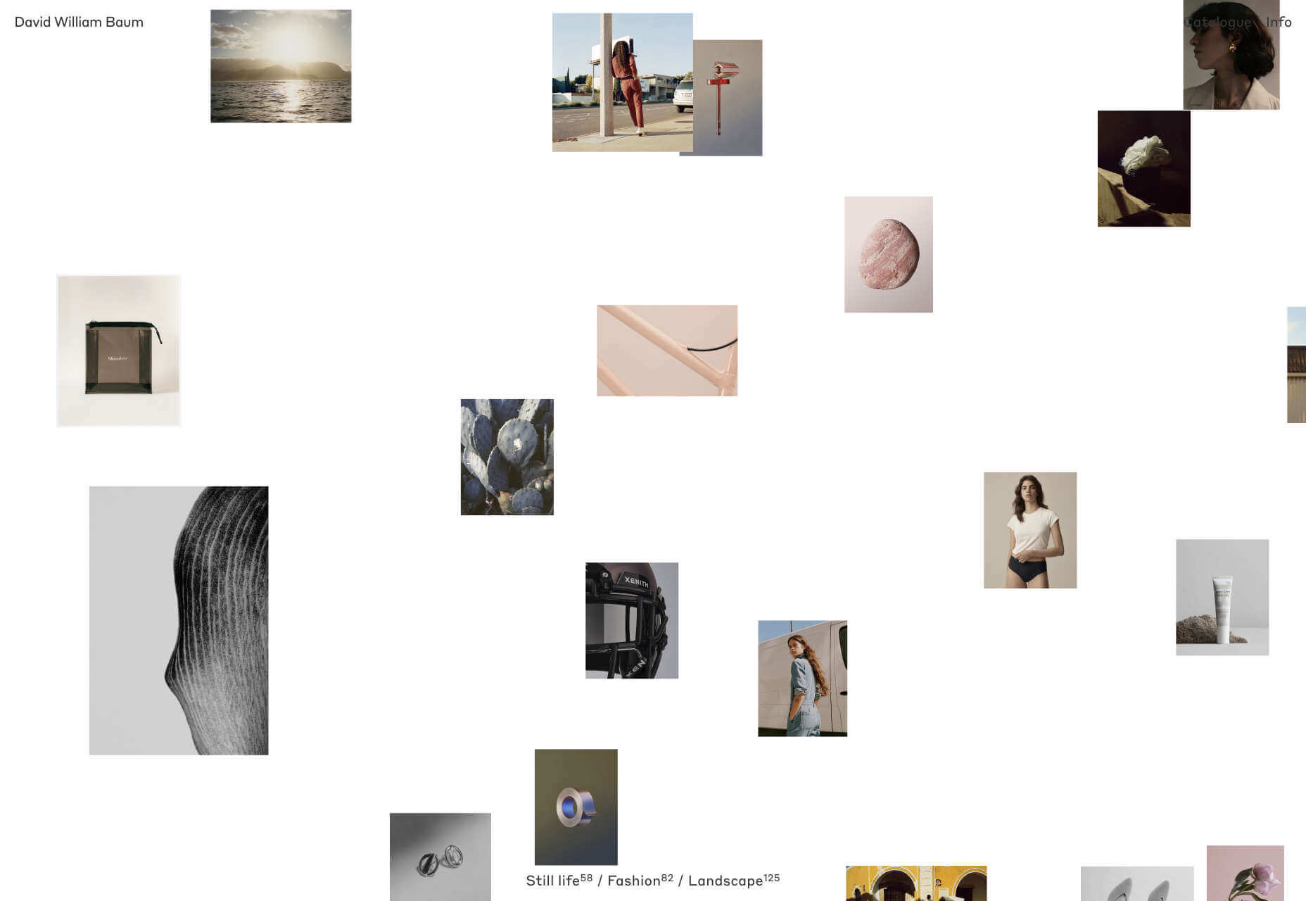 david_william_baum
