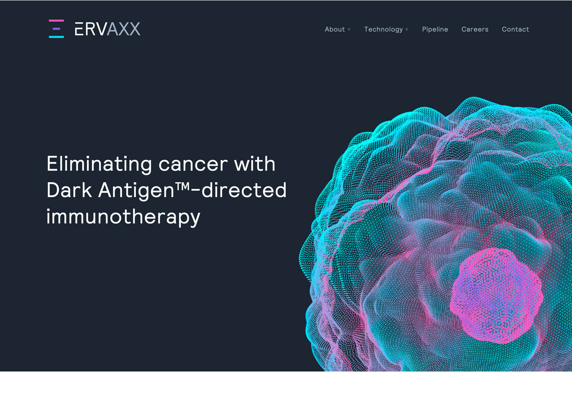 ervaxx