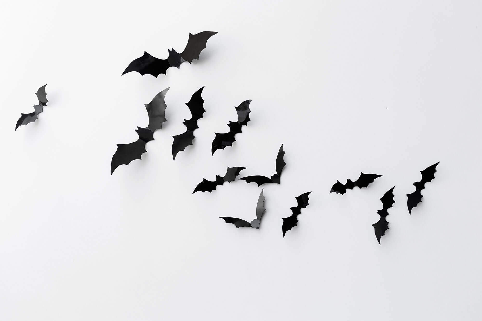shutterstock_702950767