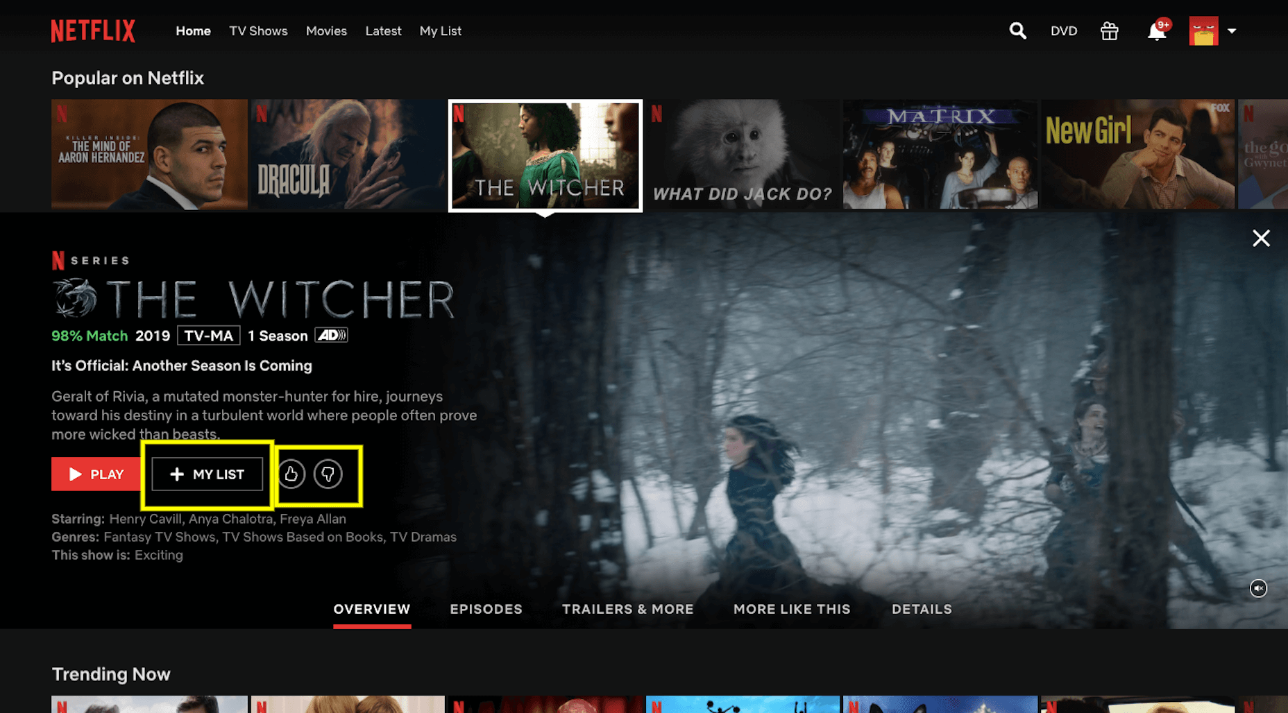 Netflix User Personalization