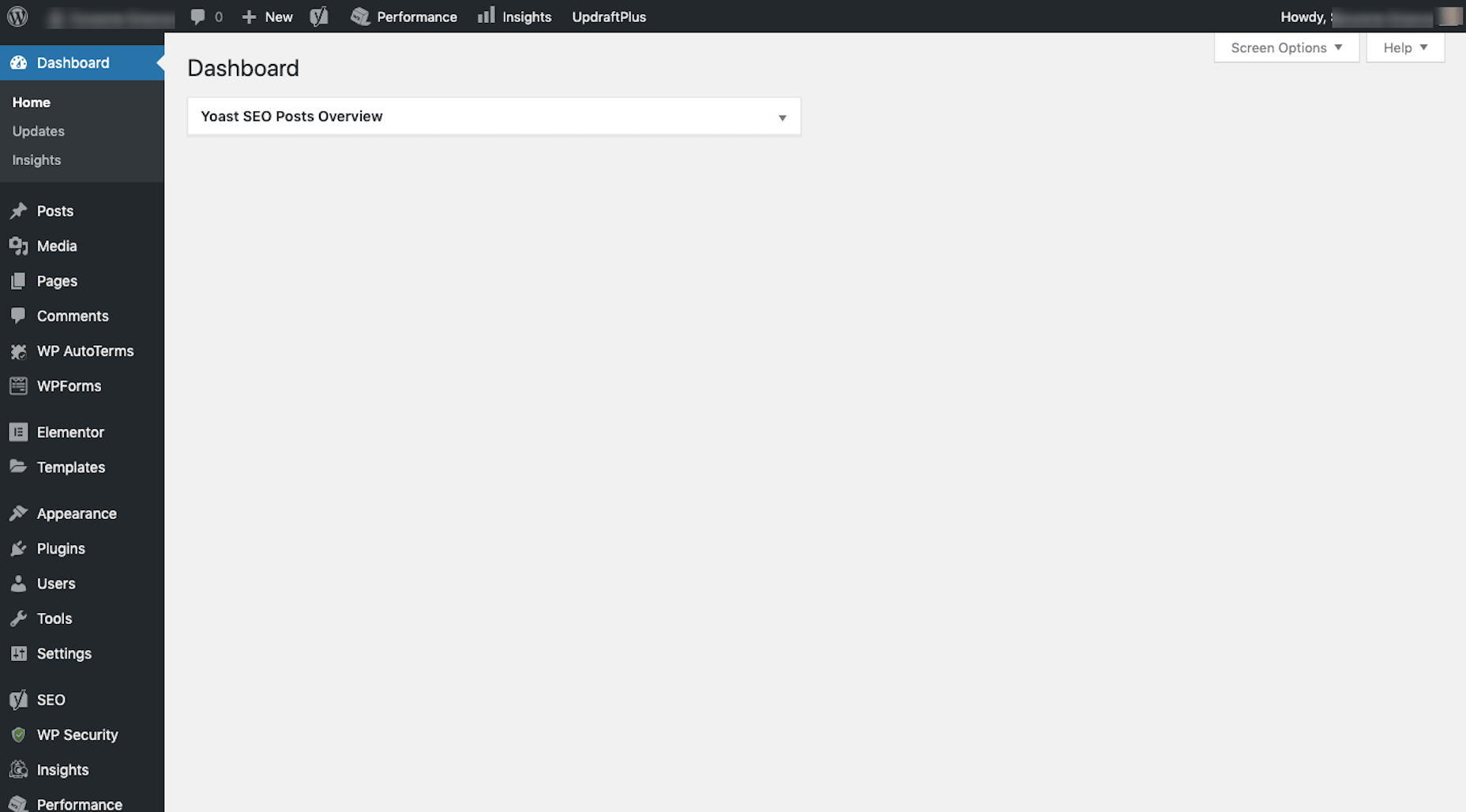 WordPress Website